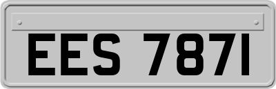 EES7871