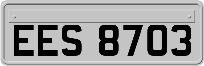 EES8703