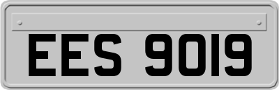 EES9019