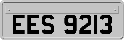 EES9213