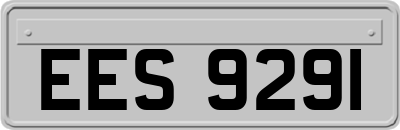 EES9291