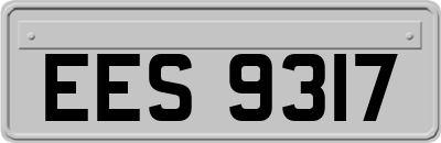 EES9317