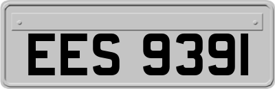 EES9391