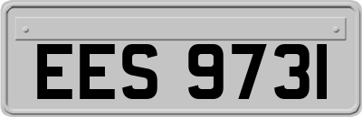 EES9731