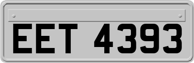 EET4393