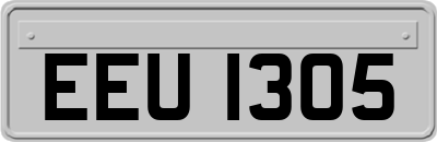 EEU1305