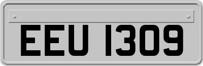 EEU1309