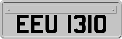 EEU1310