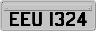 EEU1324