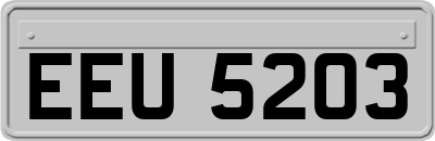 EEU5203