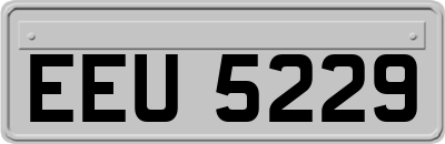 EEU5229