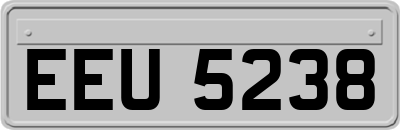 EEU5238