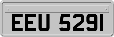 EEU5291