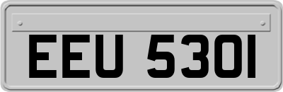 EEU5301