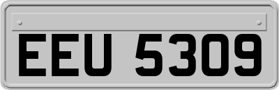 EEU5309