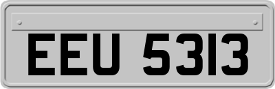 EEU5313