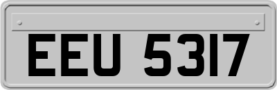 EEU5317
