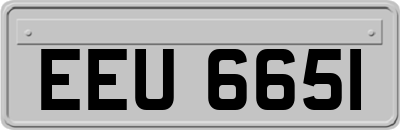 EEU6651