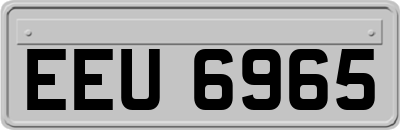 EEU6965
