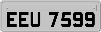 EEU7599