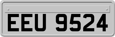 EEU9524