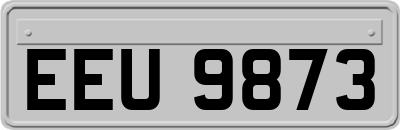 EEU9873