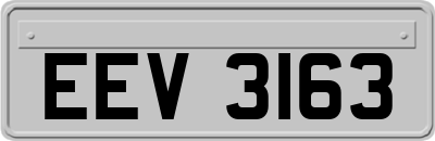 EEV3163