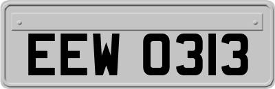 EEW0313