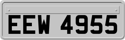 EEW4955