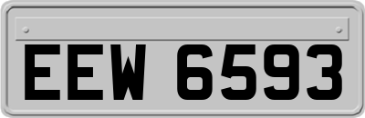 EEW6593
