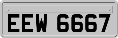 EEW6667