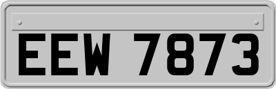 EEW7873