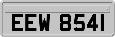 EEW8541