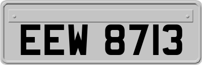 EEW8713