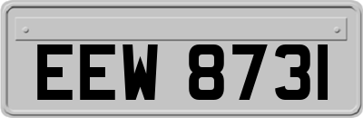 EEW8731
