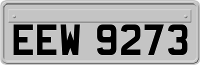 EEW9273