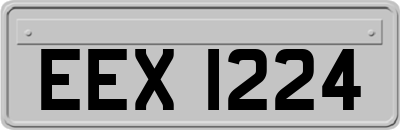 EEX1224