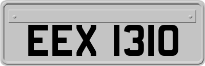 EEX1310