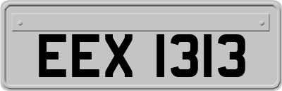 EEX1313