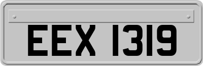 EEX1319