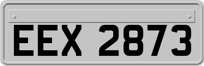 EEX2873