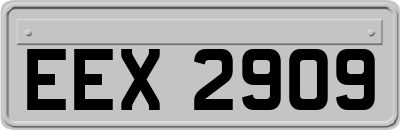 EEX2909