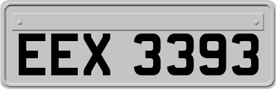 EEX3393