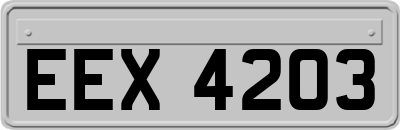 EEX4203