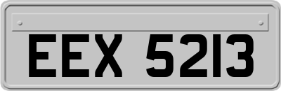 EEX5213