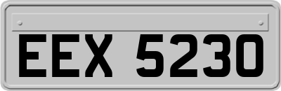 EEX5230