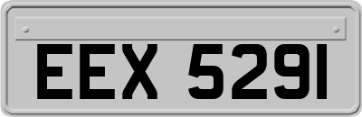 EEX5291