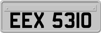 EEX5310