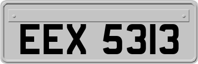 EEX5313