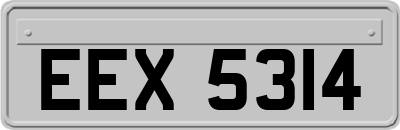 EEX5314